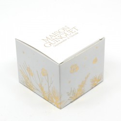 Cube Feuillage Assortiment de Chocolats Maison Guinguet Artisan Chocolatier 100g